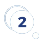 Icon 2